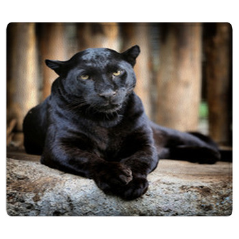 Black Leopard Bath Mat