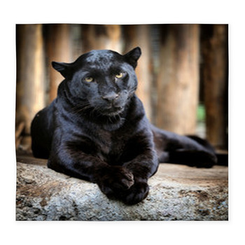 Black Leopard Custom Size Floor Mat