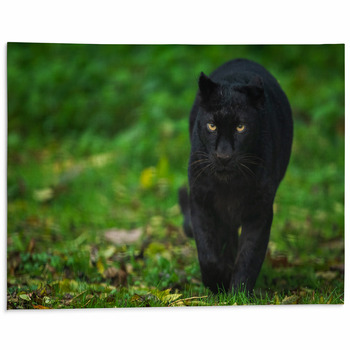 Black Panther Animal Rug Fantasty Design Rug Modern 