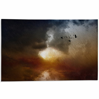 Black Rain Area Rug