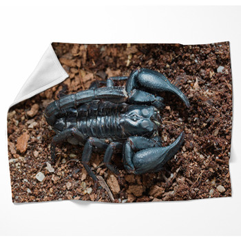 Black Scorpion On The Ground Woven Throw Blanket