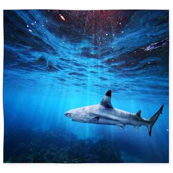 Blacktip Reef Shark Swiming In Custom Size Floor Mat