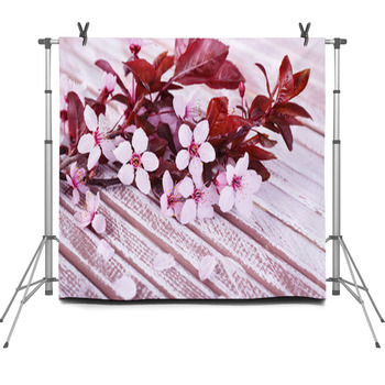Blooming Tree Branch With Pink Flowers Fleece Backdrop