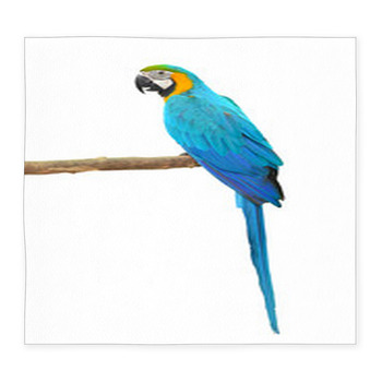 Blue And Gold Macaw Aviary Custom Size Floor Mat