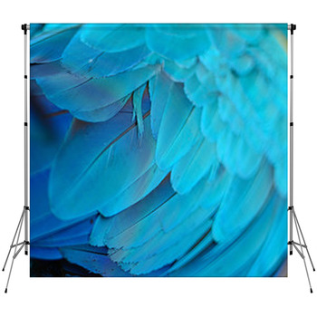 Blue And Gold Macaw Feathers Custom Size Backdrop