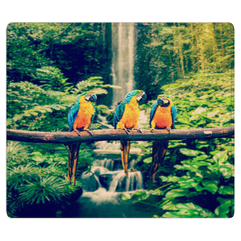Blue-and-Yellow Macaw Area Rug