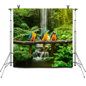 Blue and Yellow Macaw In A Rainforest Fleece Backdrop