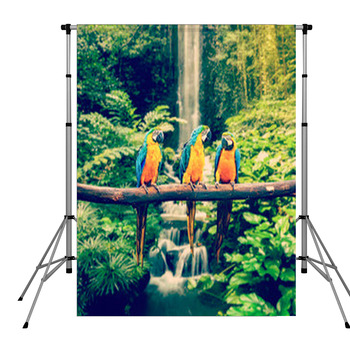 Blue-and-Yellow Macaw Pole Pocket Backdrop
