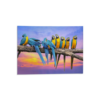 Blue And Yellow Macaw With Beautiful Sky At Area Rug