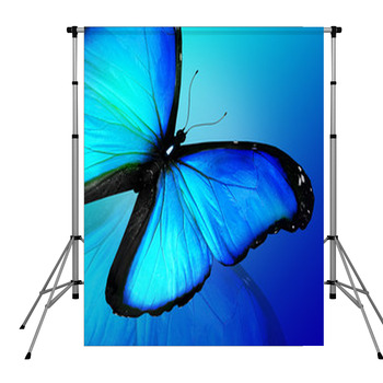 Blue Butterfly On Blue Background Pole Pocket Backdrop