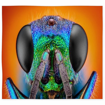 Blue Cuckoo Wasp Closeup Detailed Custom Size Floor Mat