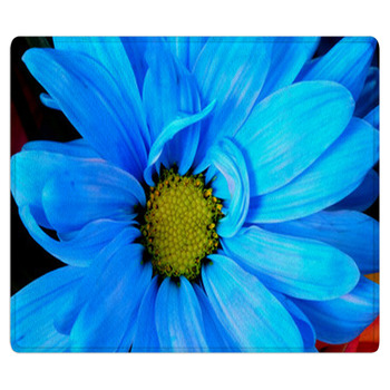 Blue Daisy Area Rug