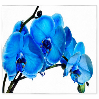 Blue Orchid Custom Size Floor Mat