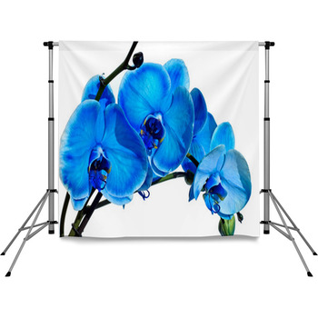 Blue Orchid Pole Pocket Backdrop