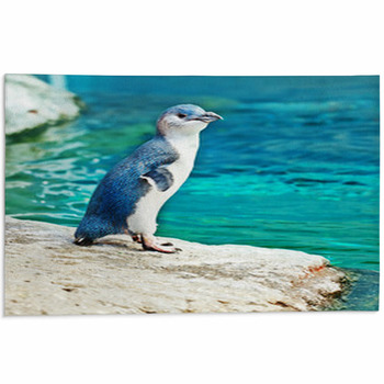 Blue Penguin Area Rug