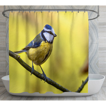 Blue Tit Autumn Color Shower Curtain