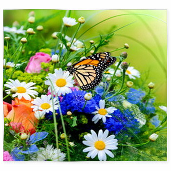 Blumenwiese Custom Size Floor Mat