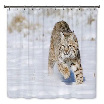 Bobcat Bath Decor