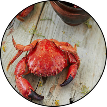 Boiled Crabs Round Rug