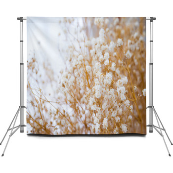 Bouquet Of Small Dried Flowers Custom Size Backdrop