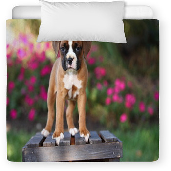 Boxer Puppy Standing On Wooden Crate Toddler Comforter