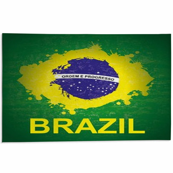 Brazil flag Area Rugs & Custom Size Floor Mats