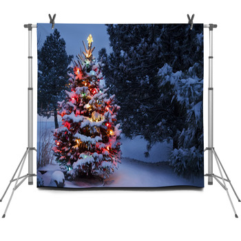 Brightly Lit Snow Covered Holiday Fleece Backdrop