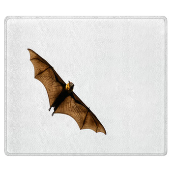 Bat Rugs & Custom Size Floor Mats