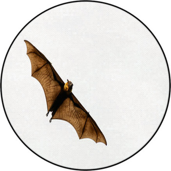 Bat Rugs & Custom Size Floor Mats