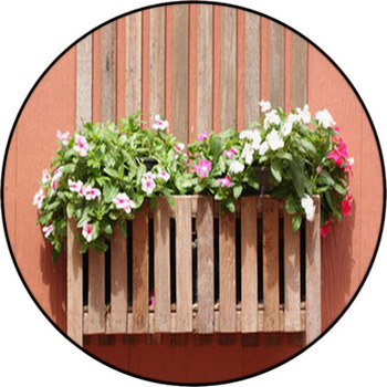 Brown Wooden Walls And Pink Flowers. Round Rug