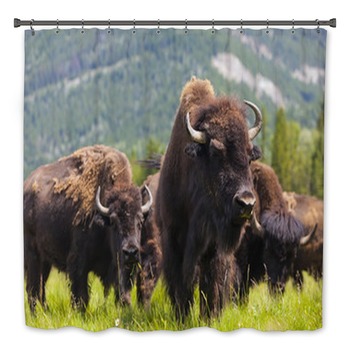 Buffalo Bath Decor