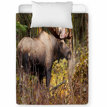 Bull Moose In Nature Brown Forest Toddler Comforter
