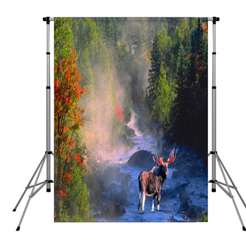 Bull Moose In Stream Pole Pocket Backdrop