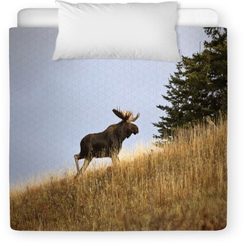 Bull Moose In The Cypress Hills Park Toddler Comforter