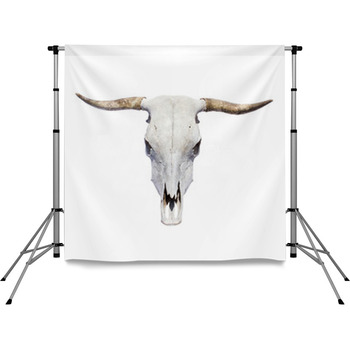 Bull Skull - Top View, Isolated Pole Pocket Backdrop