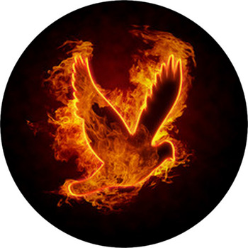 Burning Bird Round Rug
