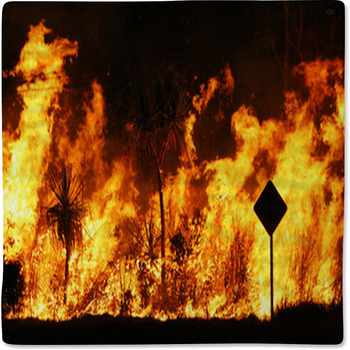 Bush Fire Baby Blanket