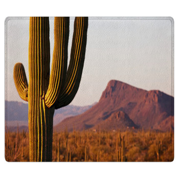 cactus Area Rugs & Custom Size Floor Mats