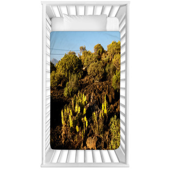 Cactus In The Desert Baby Crib Comforter