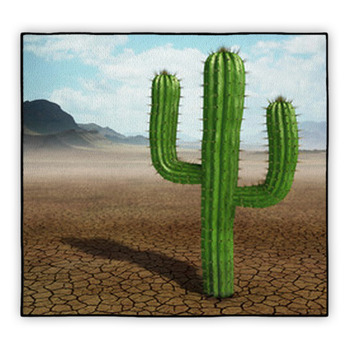 Cactus Area Rugs & Custom Size Floor Mats