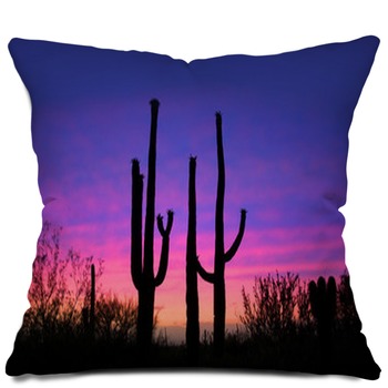 Cactus Pillows