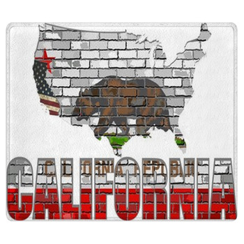 California On A Brick Wall Illustration Area Rug