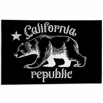 California Republic Bear In Dirty Texture Style  Area Rug