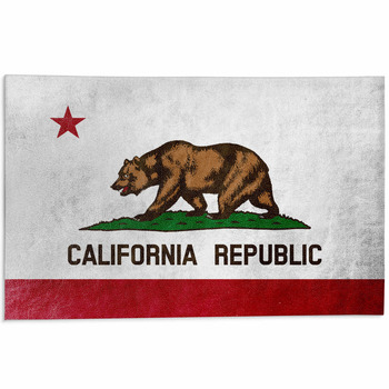 California State Flag Painted On Leather Texture Area Rug