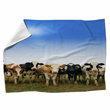 Calves On The Field Fleece Blanket