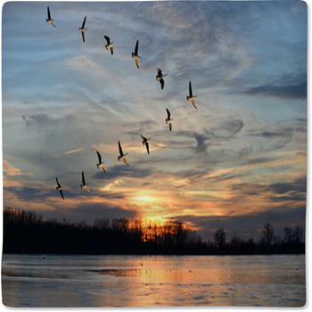 Canadian Geese Flying In V Formation Baby Blanket