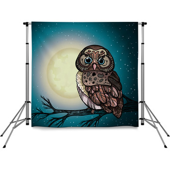 Cartoon Owl And Full Moon. Pole Pocket Backdrop