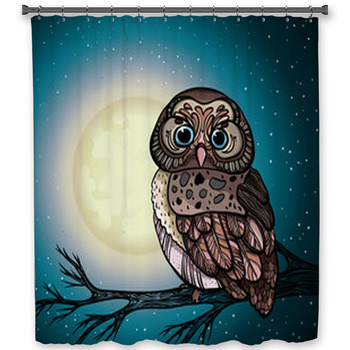Cartoon Owl And Full Moon. Shower Curtain