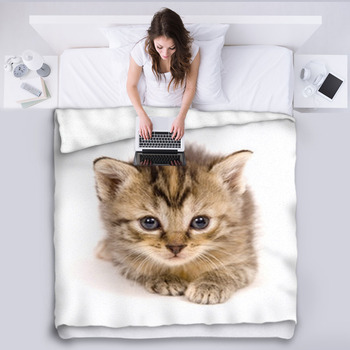Kitten bedding shop
