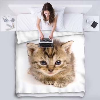 Cat At Rest On White Background Fleece Blanket